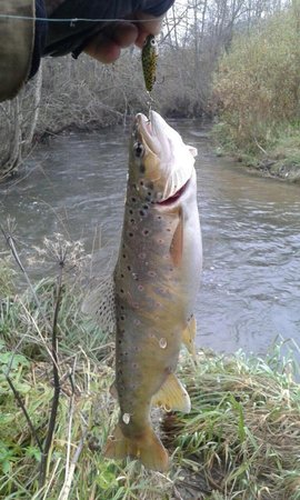 7awrGAvJlLw.jpg (94.93 КБ) 17083 просмотра 600 гр.