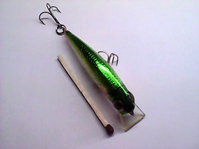 Snapshot_20110501_1 (3).jpg