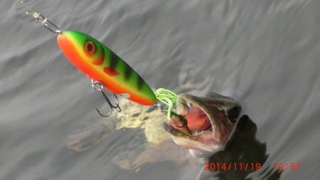 IMG_2318.JPG