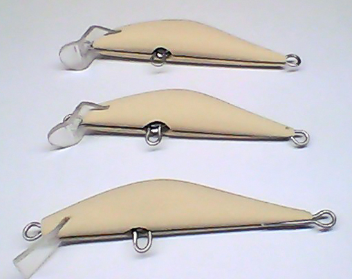 Snapshot_20110502_2.jpg