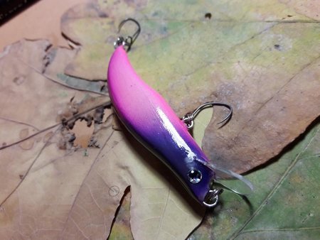 20161029_105949.jpg