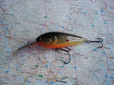 100_0796.jpg