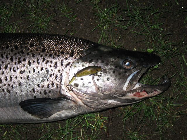 img0053wj.jpg