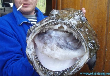 152_ScreenShot003_1[1].jpg