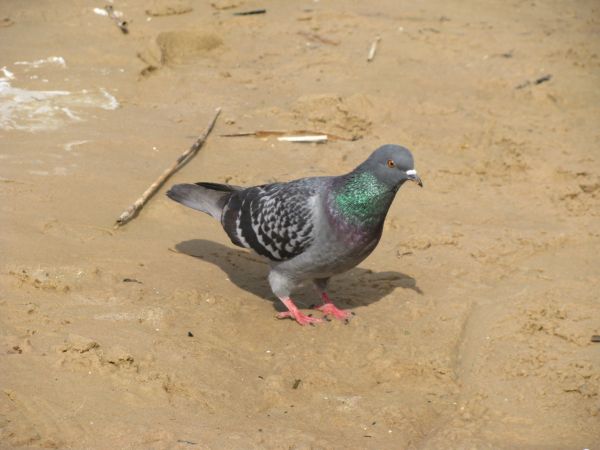 IMG_2685.jpg