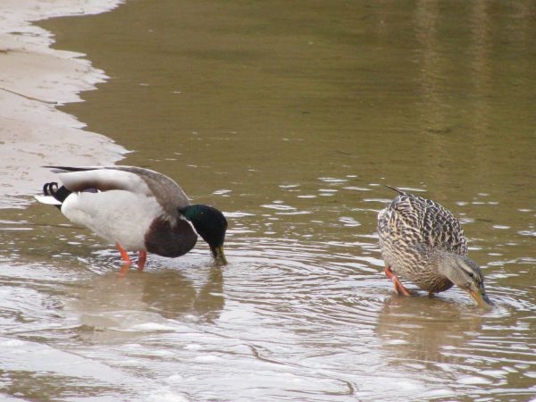 IMG_2690.jpg