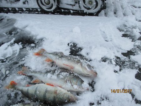 IMG_1026.JPG