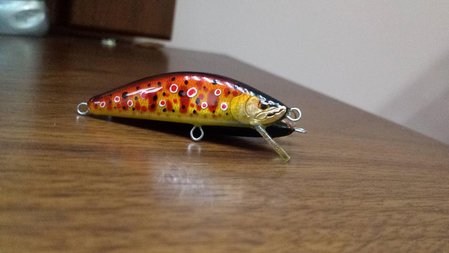 20170115_085008.jpg