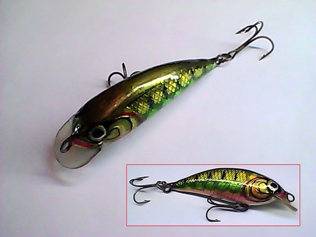 Snapshot_20110506_39.jpg