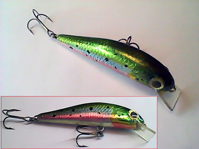 Snapshot_20110506_73.jpg