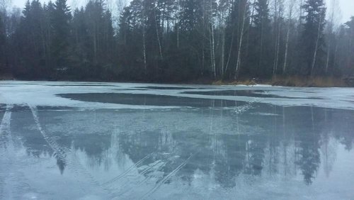 20170220_170559[1].jpg