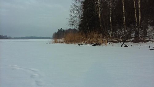 20170228_085512[1].jpg