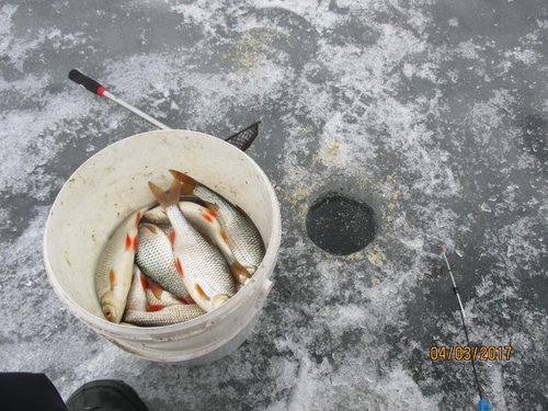 IMG_1061.JPG
