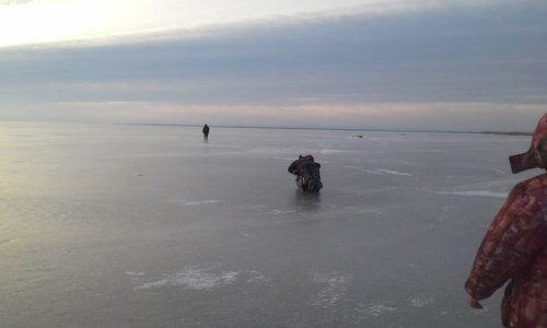 20170305_074035.jpg