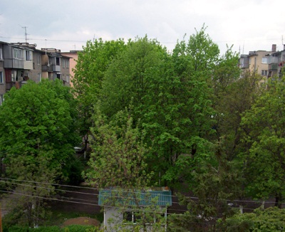 100_1813.JPG