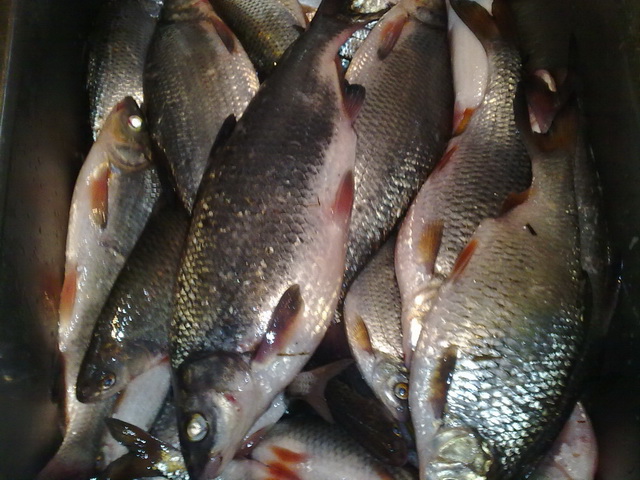 0905201126.jpg