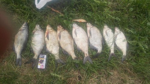 IMG_20170527_132310.jpg (122.24 КБ) 20763 просмотра сегодня. немного.