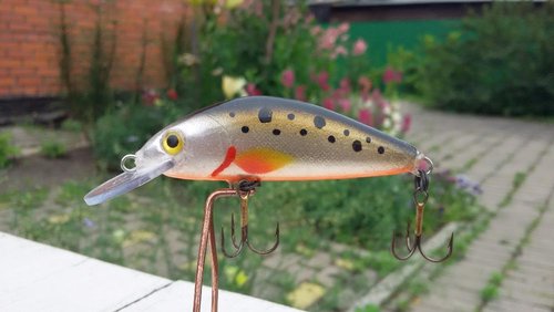 20170723_145205.jpg