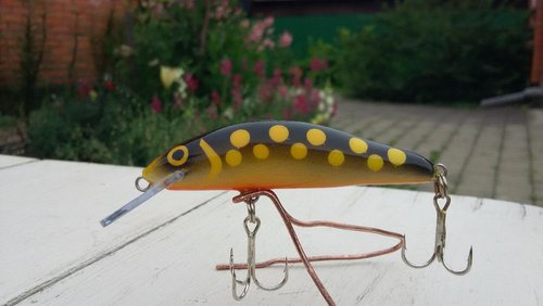 20170723_145909.jpg