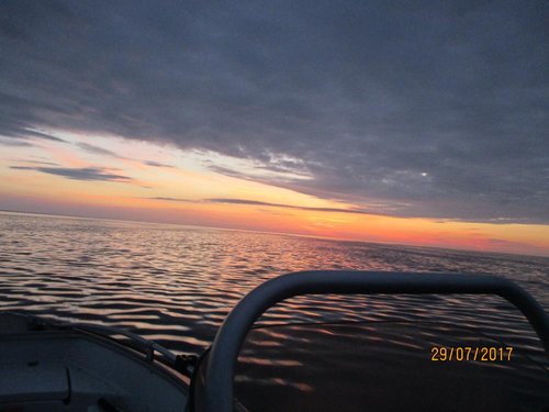 IMG_1138.JPG