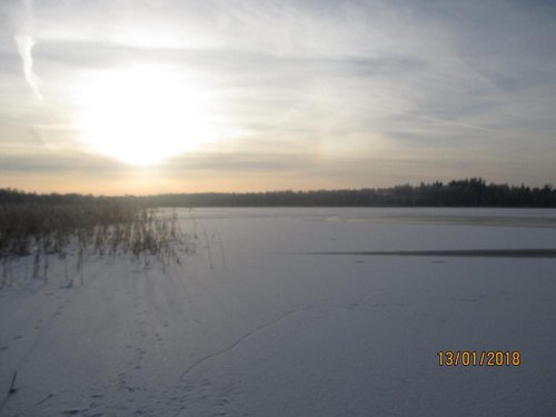 IMG_1768.JPG