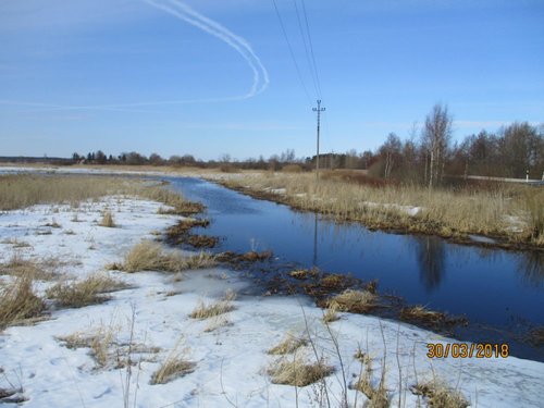 IMG_0164.JPG