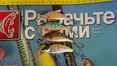DSC03274.JPG