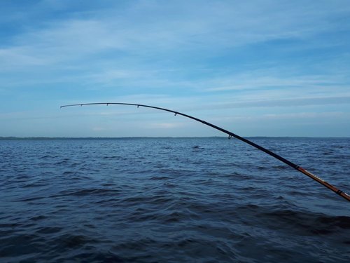 20180616_073623.jpg (76.7 КБ) 15858 просмотров загибчик