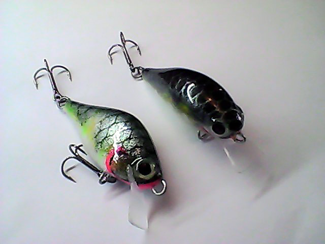 Snapshot_20110517_24.jpg