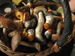 IMG_2113.jpg