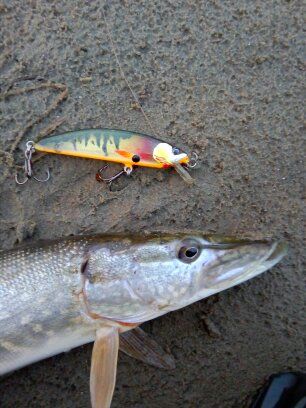 плавующий 80 мм вес 12 гр .