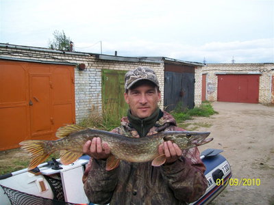 85см.jpg