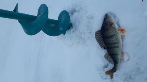 20190105_120501.jpg