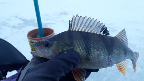 20190119_140134.jpg