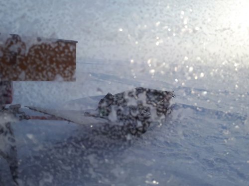 20190126_130636.jpg