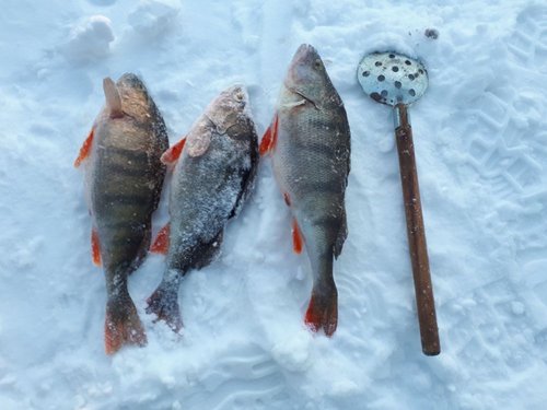 20190127_153957.jpg