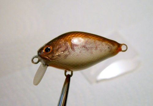 02-P2080050.JPG (53.93 КБ) 6489 просмотров 02-P2080050.JPG