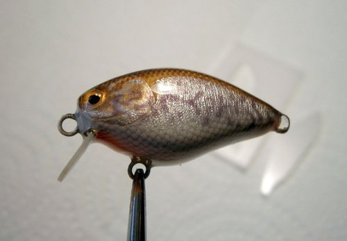 10-P2080081.JPG (55.78 КБ) 6489 просмотров 10-P2080081.JPG