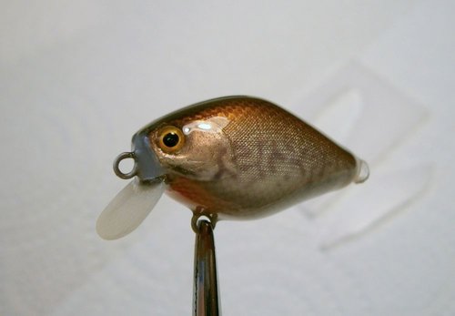 12-P2080088.JPG (44.62 КБ) 6489 просмотров 12-P2080088.JPG