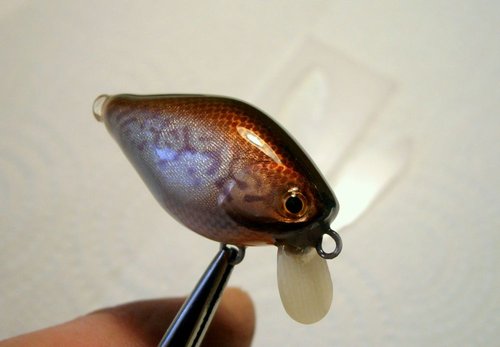 14-P2080098.JPG (54.87 КБ) 6489 просмотров 14-P2080098.JPG