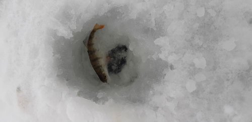 20190223_122842.jpg