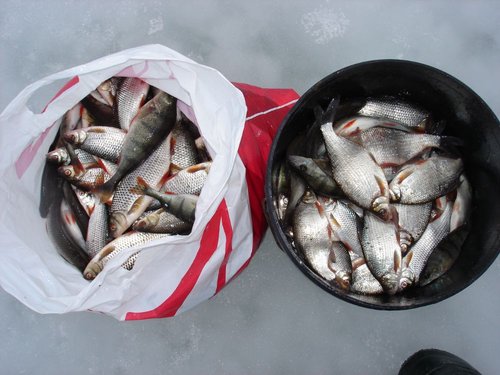 DSC09764.JPG (118.7 КБ) 11959 просмотров DSC09764.JPG