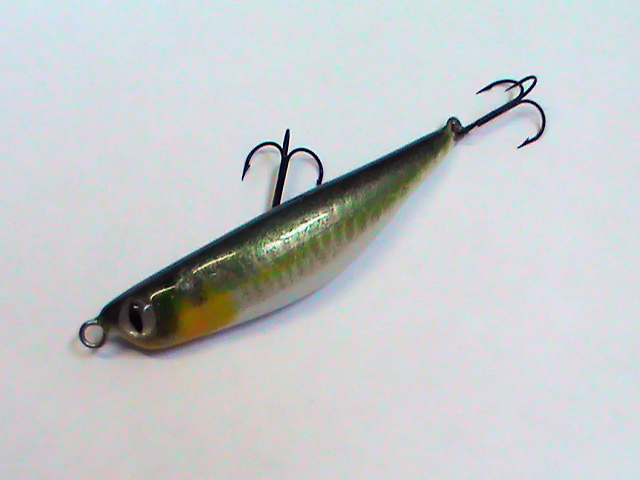 DSC00073.jpg