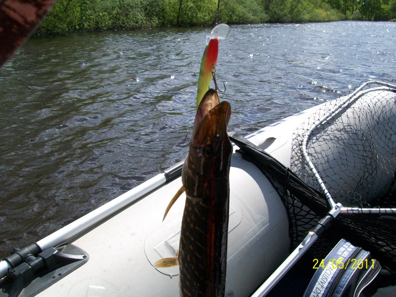 100_2842.JPG