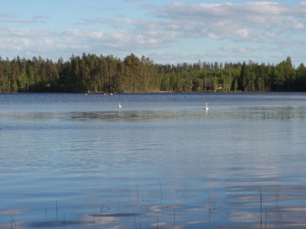 P5261350 (600 x 450).jpg