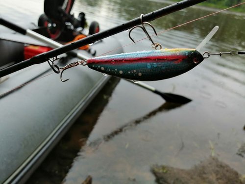 IMG_20190717_134024.jpg (76.02 КБ) 7406 просмотров Абаша, 80sf, шумавой, 12,5гр.