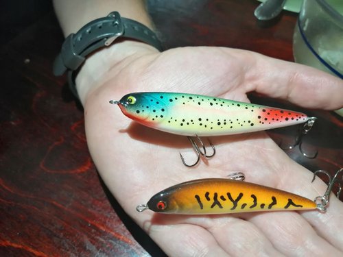 IMG_20190724_222319.jpg (81.35 КБ) 7406 просмотров Абаша, 100ss 15,2гр. и 70ss 7,6гр. Оба с шумавыми камерами