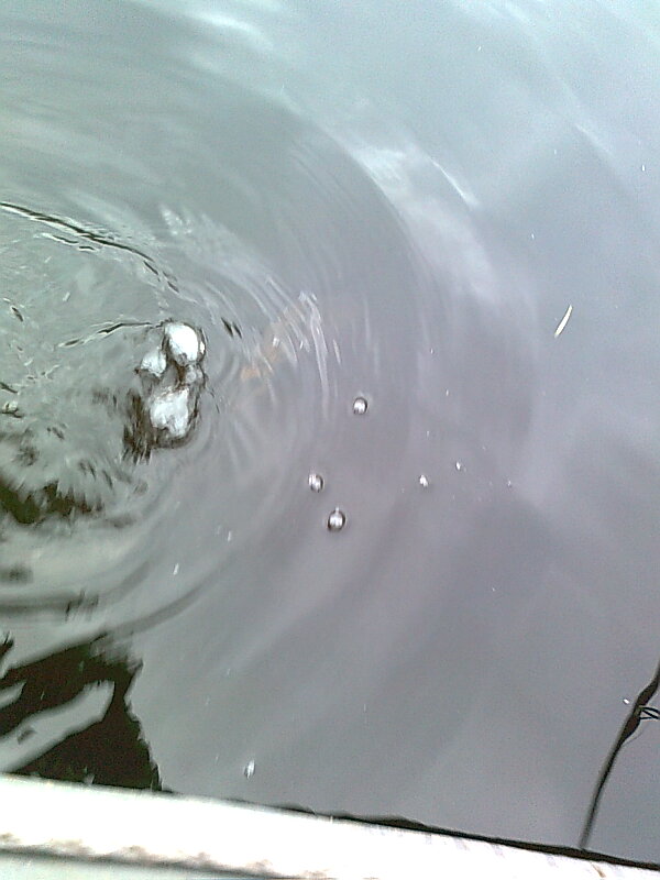 Изображение 1167.jpg