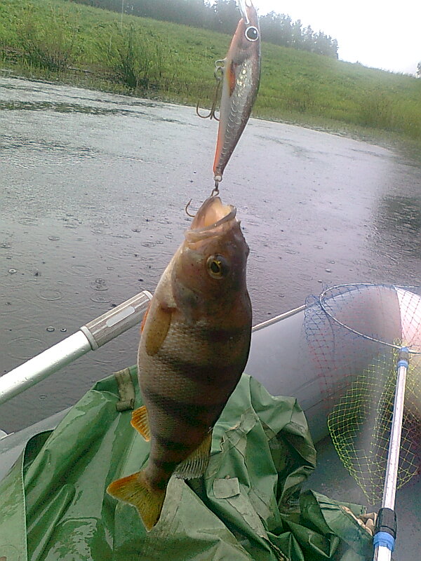 Изображение 1179.jpg