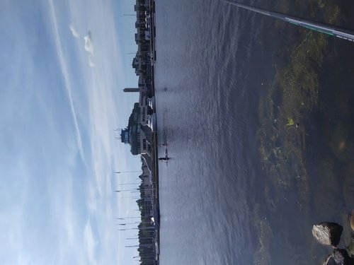 IMG_20190825_113356.jpg